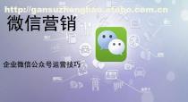 企业微信在自媒体营销中的实战技巧与价值——以甘肃正浩企业管理咨询为例